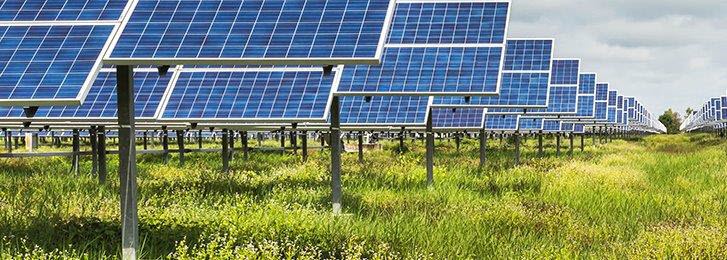 solar panels in field